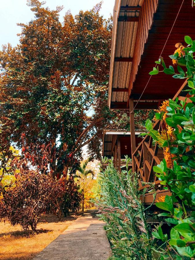 Mana Kai Camping & Cabins San Ignacio Εξωτερικό φωτογραφία