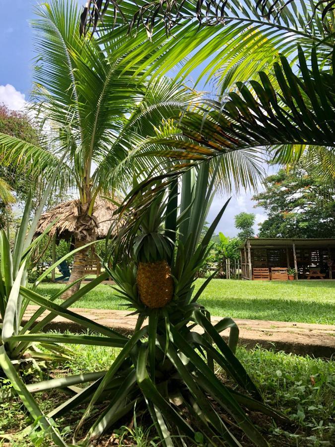 Mana Kai Camping & Cabins San Ignacio Εξωτερικό φωτογραφία